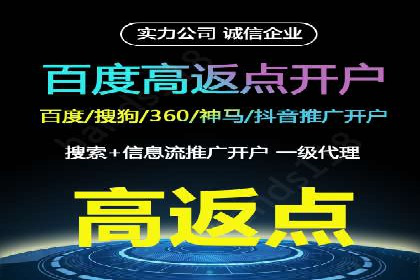 百度推广运营策略解析及成功案例分享